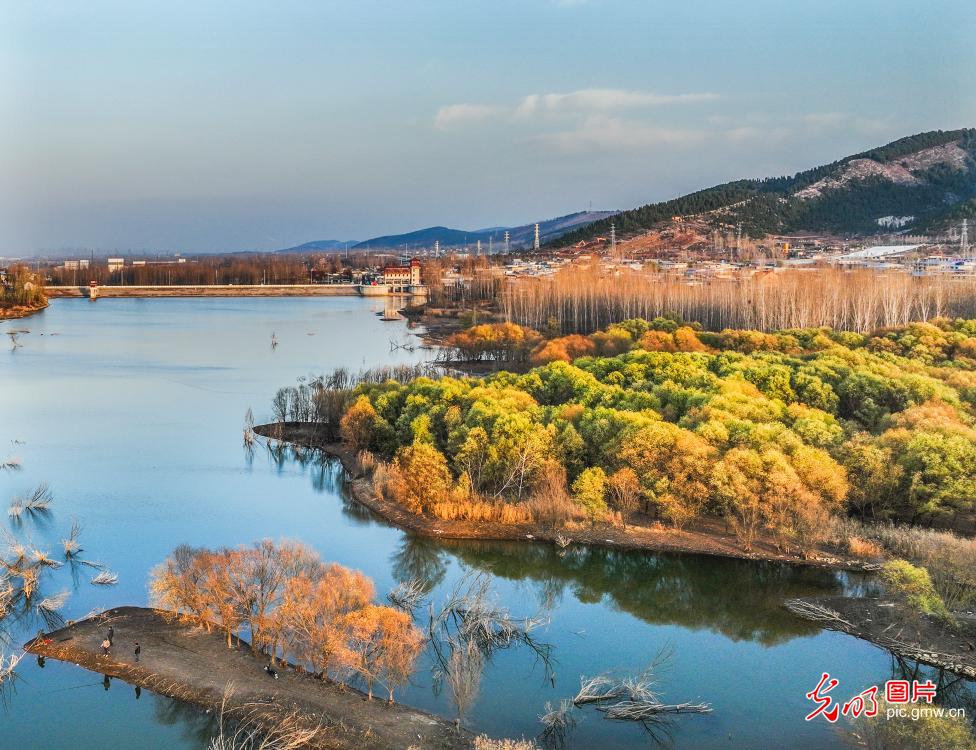山东枣庄：库区冬景如画