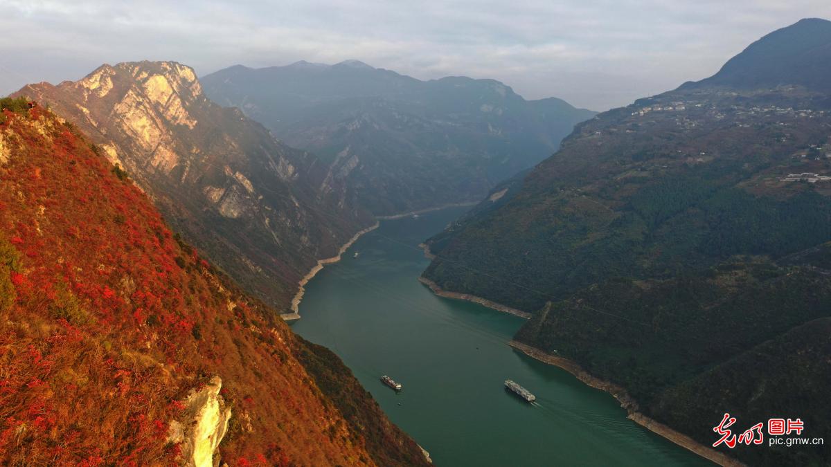 碧水红叶相映成画
