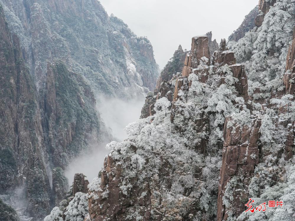 安徽黄山初春现雾凇美景