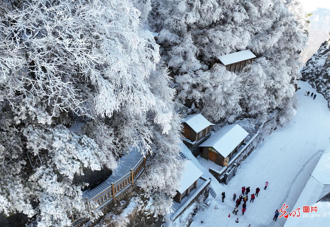 初春雾凇美 冰雪引游客