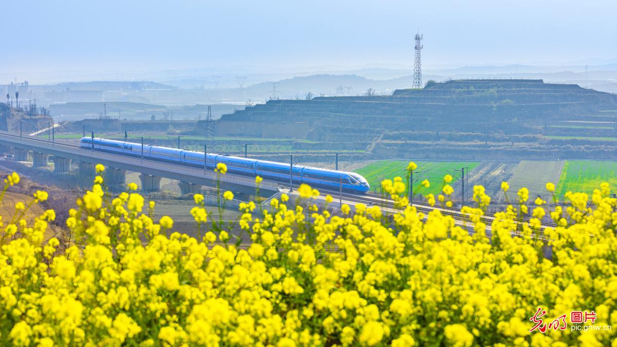 乘“春日列车”赏最美花海