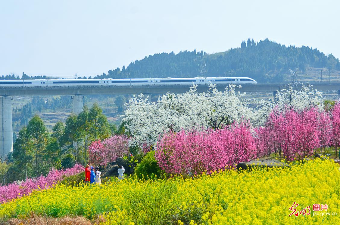 乘“春日列车”赏最美花海