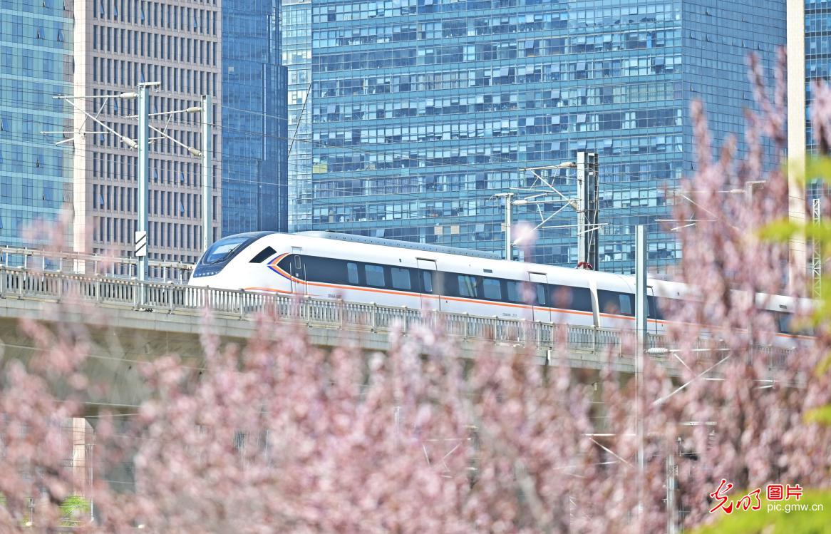 乘“春日列车”赏最美花海