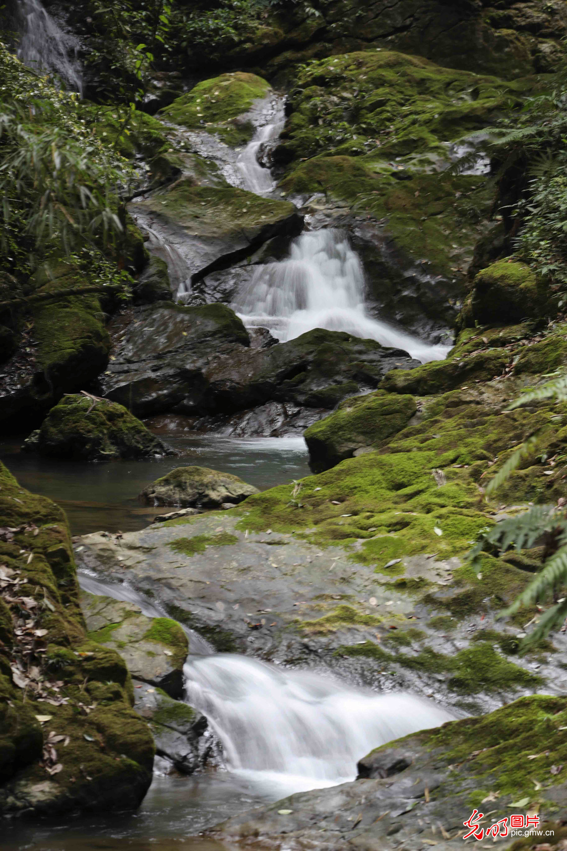 重庆万盛：黑山谷景区风景秀美