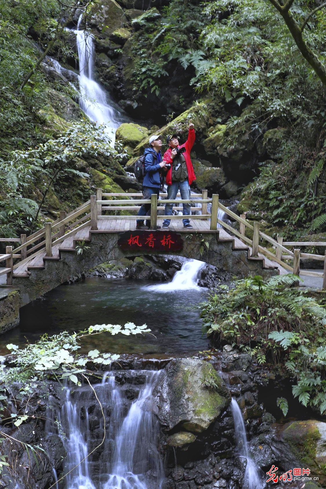 重庆万盛：黑山谷景区风景秀美