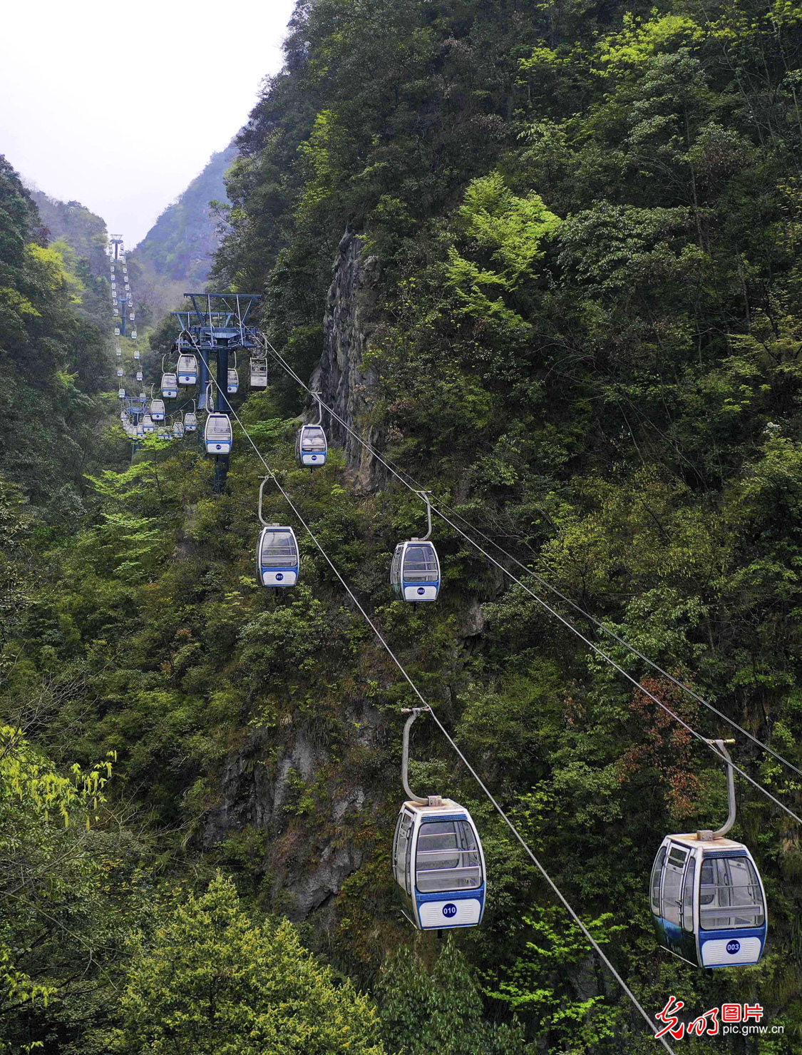 重庆万盛：黑山谷景区风景秀美