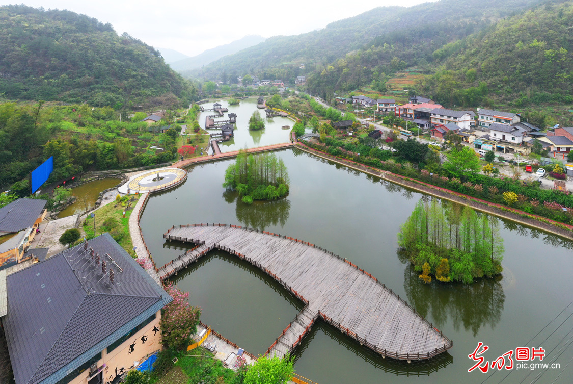 生态渔村景如画