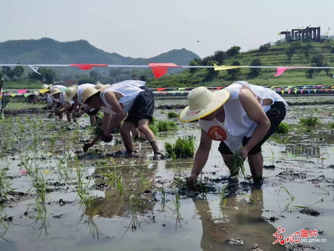 四川兴文：谷雨开秧祈丰收