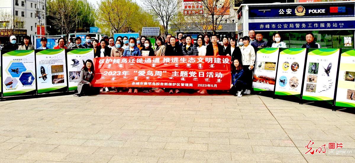 【多彩栖息地】打造鸟类栖息乐园 共享自然生态之美