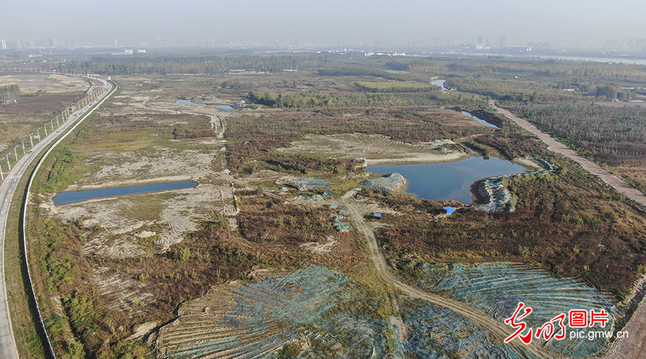 【绿水青山“瞰”中国】鱼梁洲中央生态公园：“江中荒洲”变身“城市绿心”