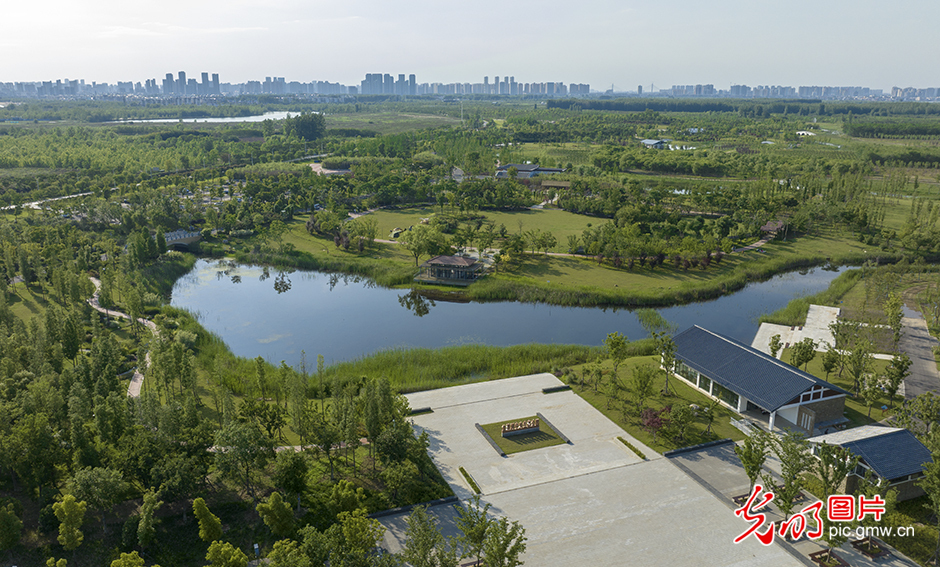 【绿水青山“瞰”中国】鱼梁洲中央生态公园：“江中荒洲”变身“城市绿心”