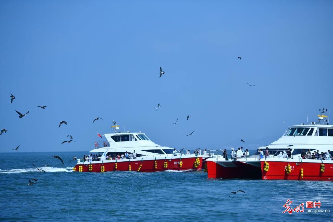 山东荣成：海岸风景醉游人