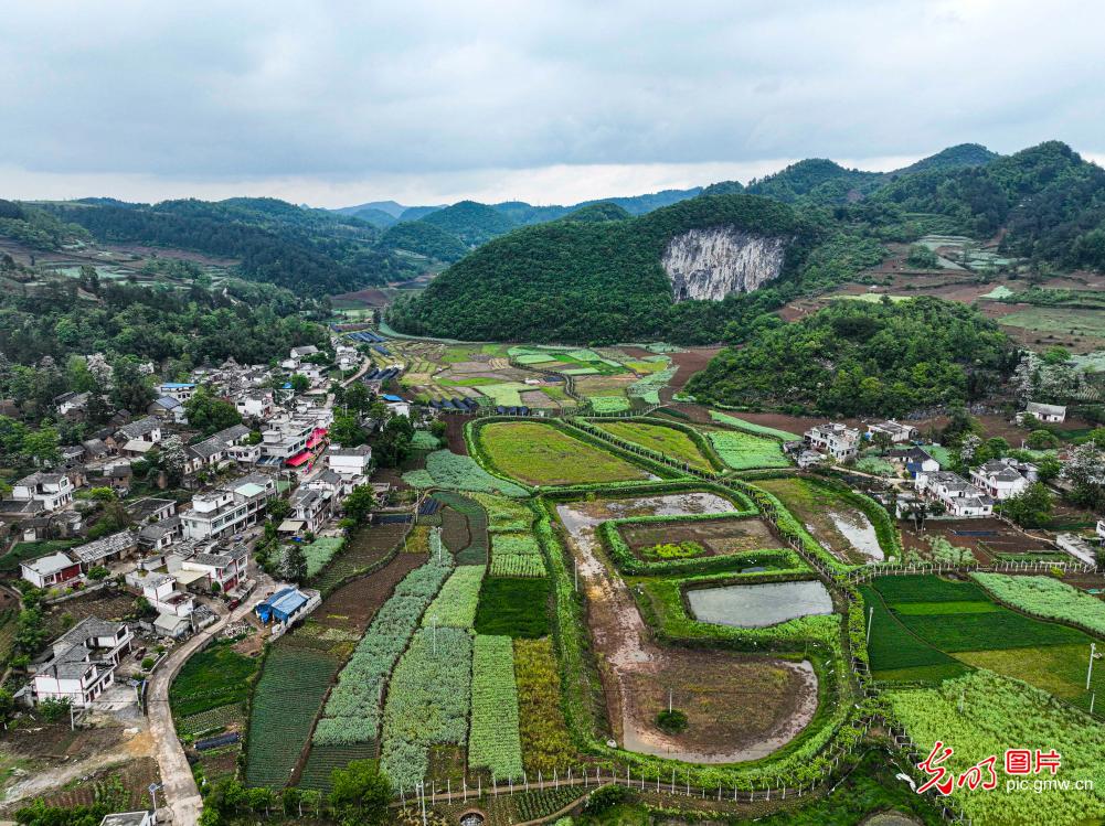 【节气里的大美中国】春回大地 万象更新