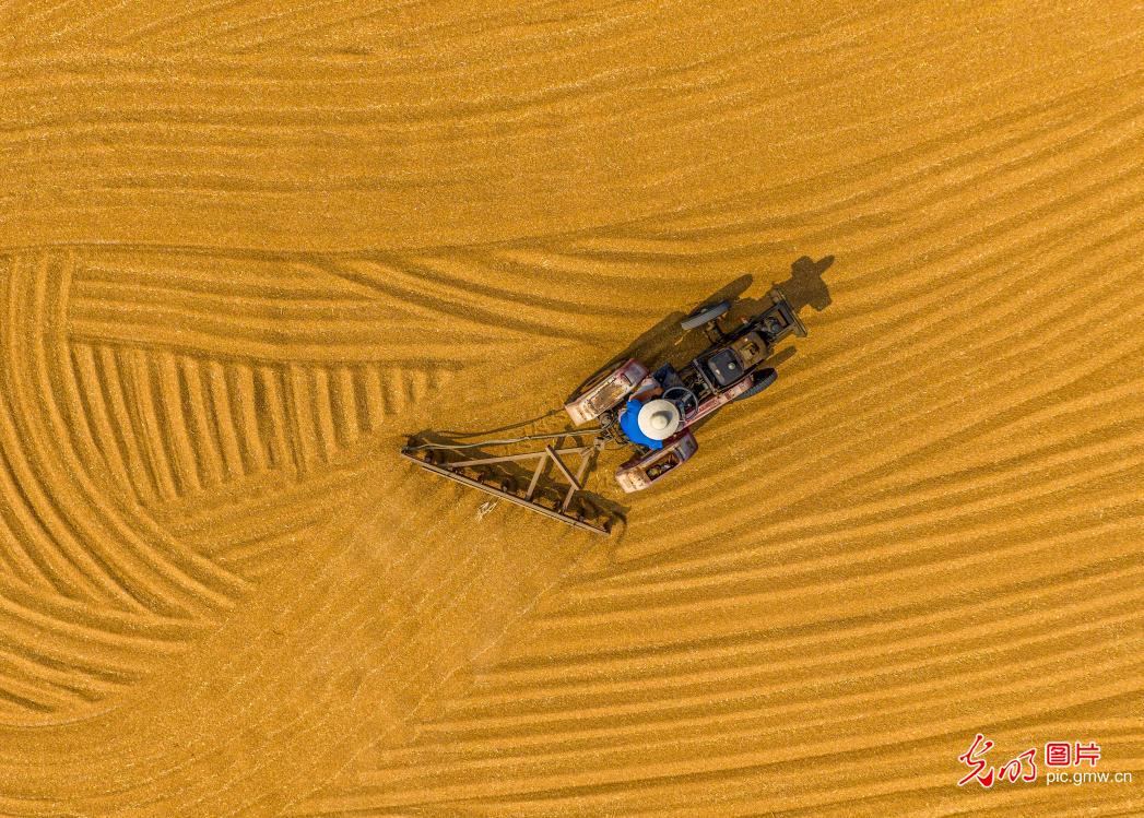 【节气里的大美中国】云观夏日 山河画卷