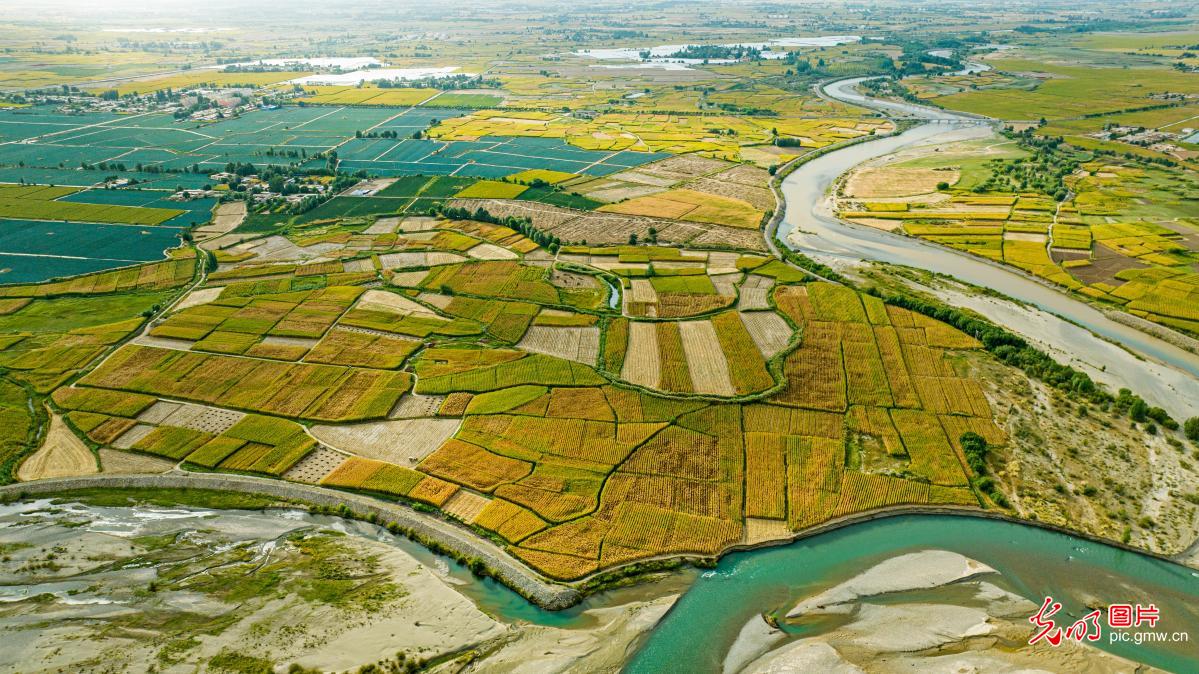 【节气里的大美中国】多彩秋日 满目是景