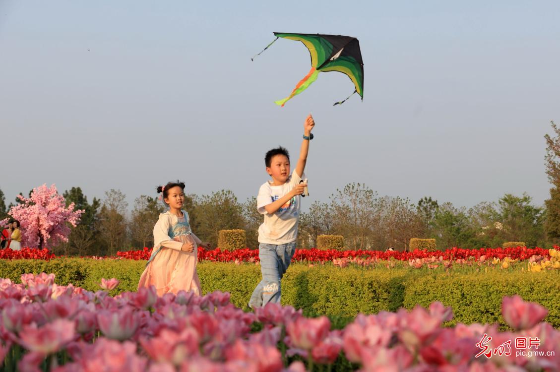 湖北孝感:2024赏花活动启幕