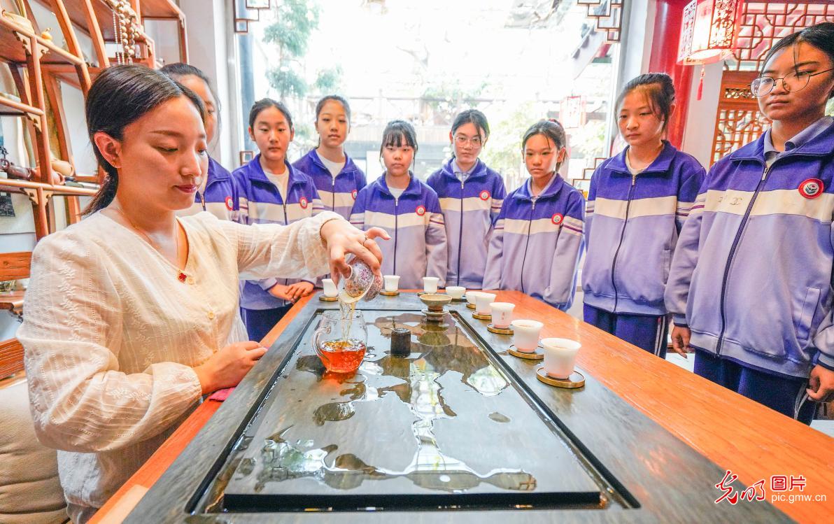 国际茶日｜从泡茶开始，感受茶文化的魅力