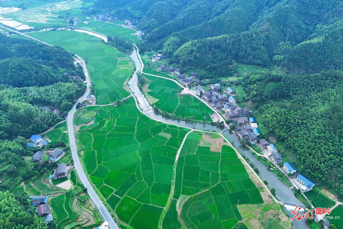 全国土地日丨守土护粮 共绘新篇