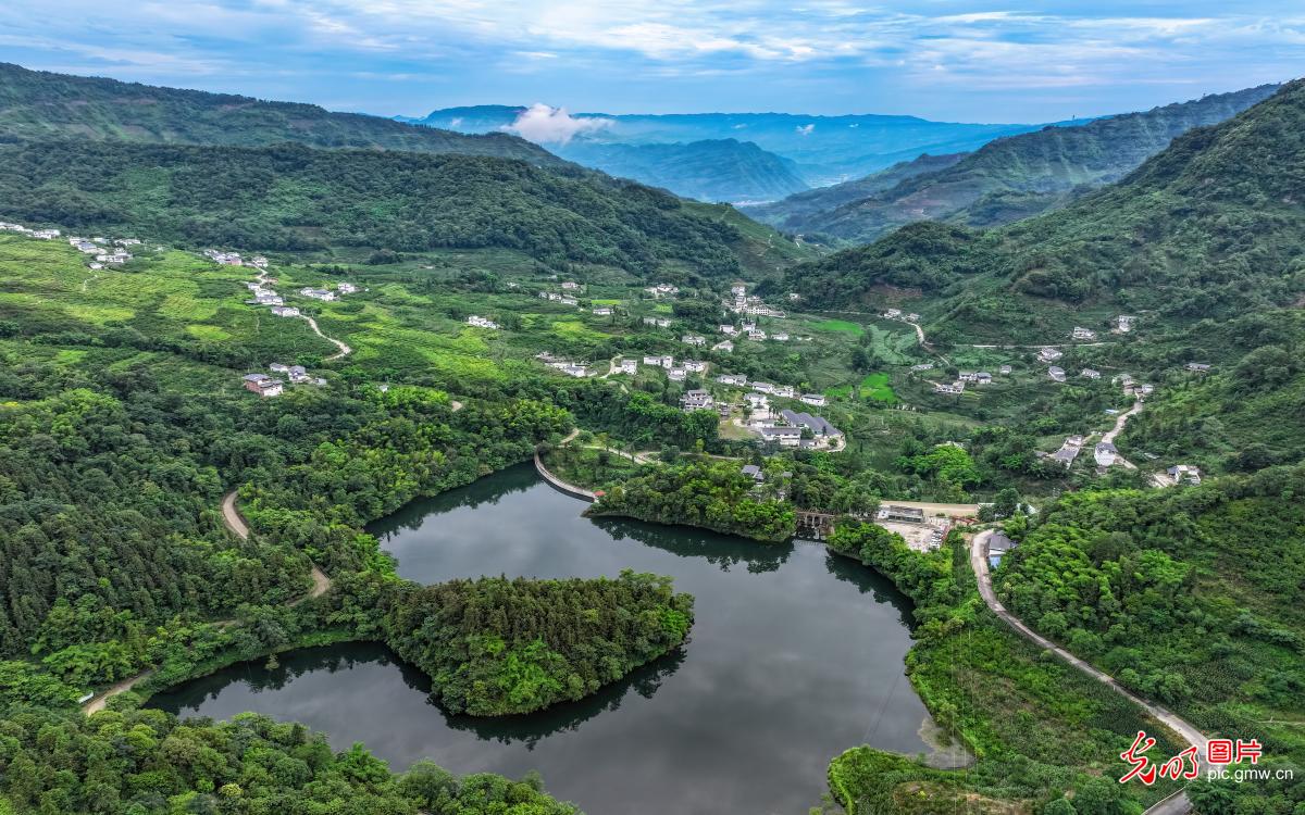 绿水青山生态美