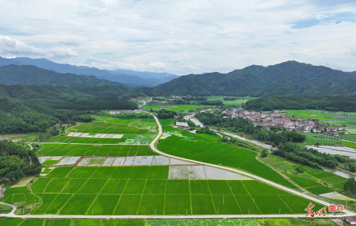 路畅景美助力乡村振兴