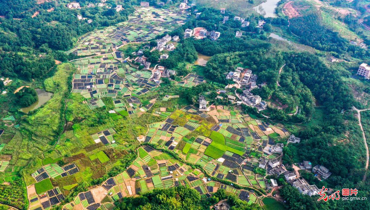 大地调色板秋景如画