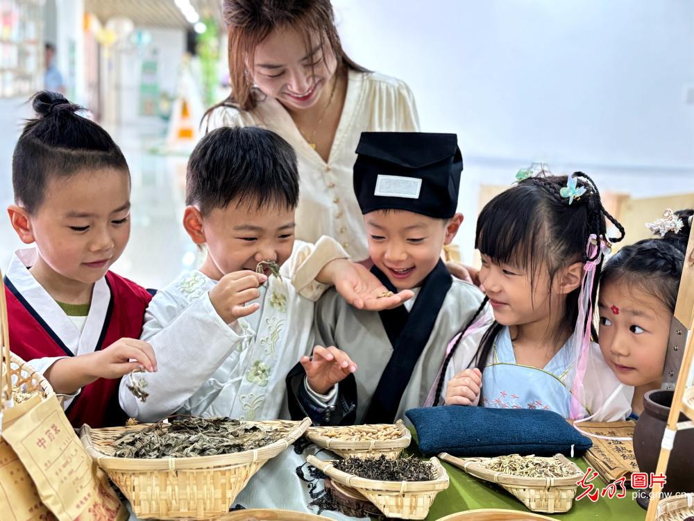 感受传统中医魅力 迎接“世界传统医药日”