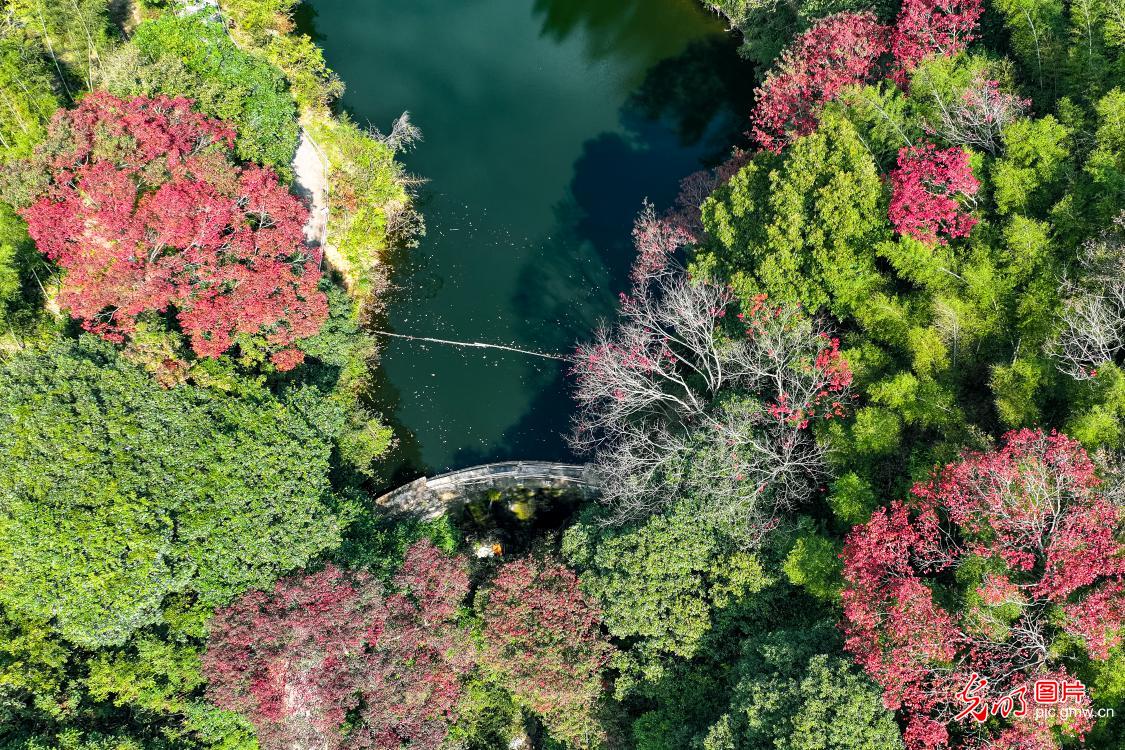 湖南通道：山林如画