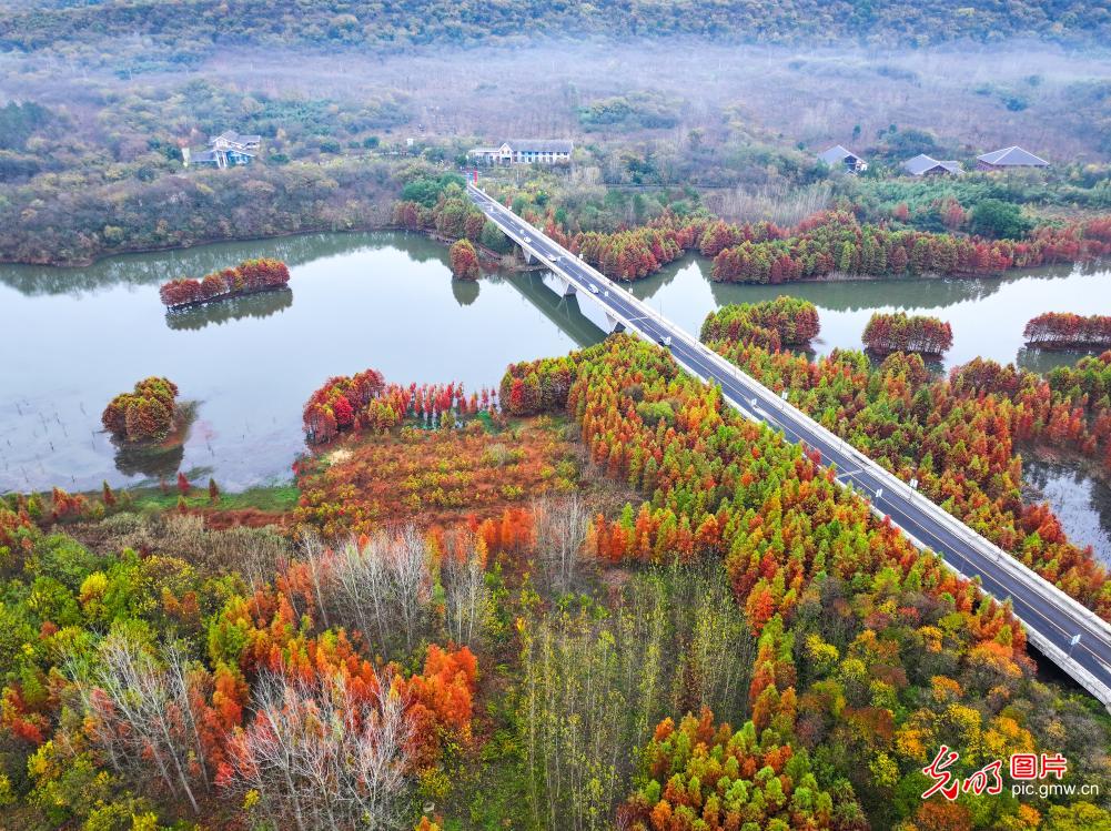 天泉湖冬景如画