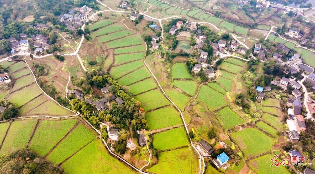 和美乡村