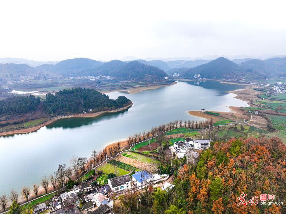 生态湿地冬景美