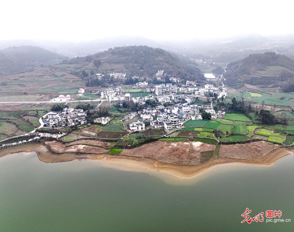 生态湿地冬景美