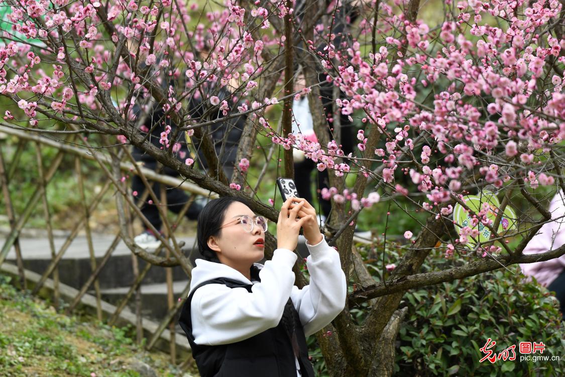 踏青赏花 乐享美好春光