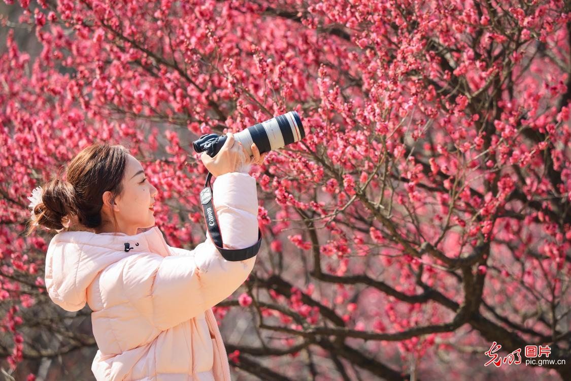 踏青赏花 乐享美好春光