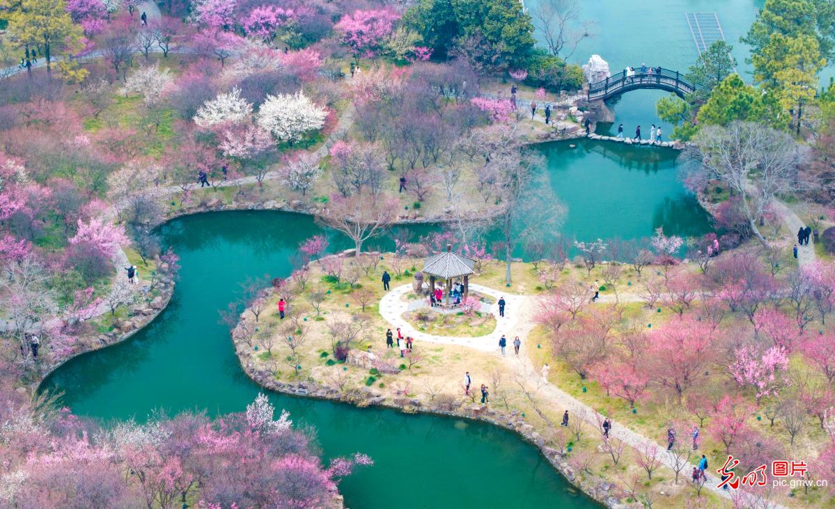 踏青赏花享春光