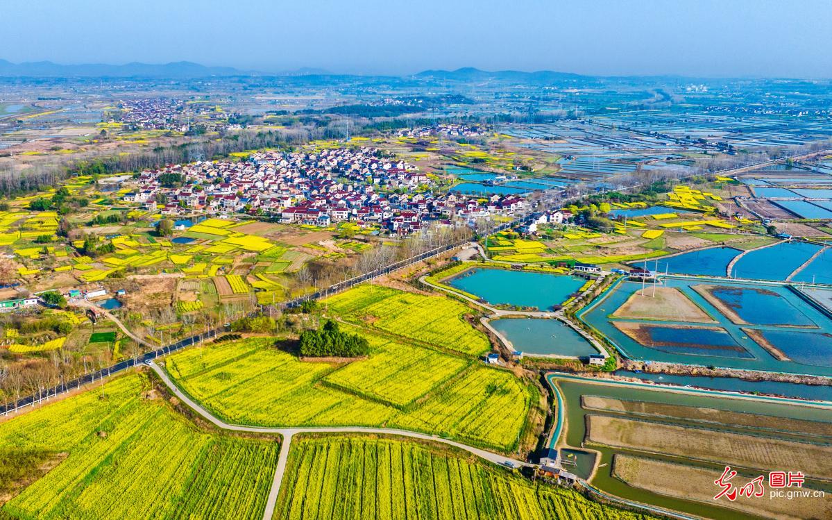 春日水乡绘就生态新图景