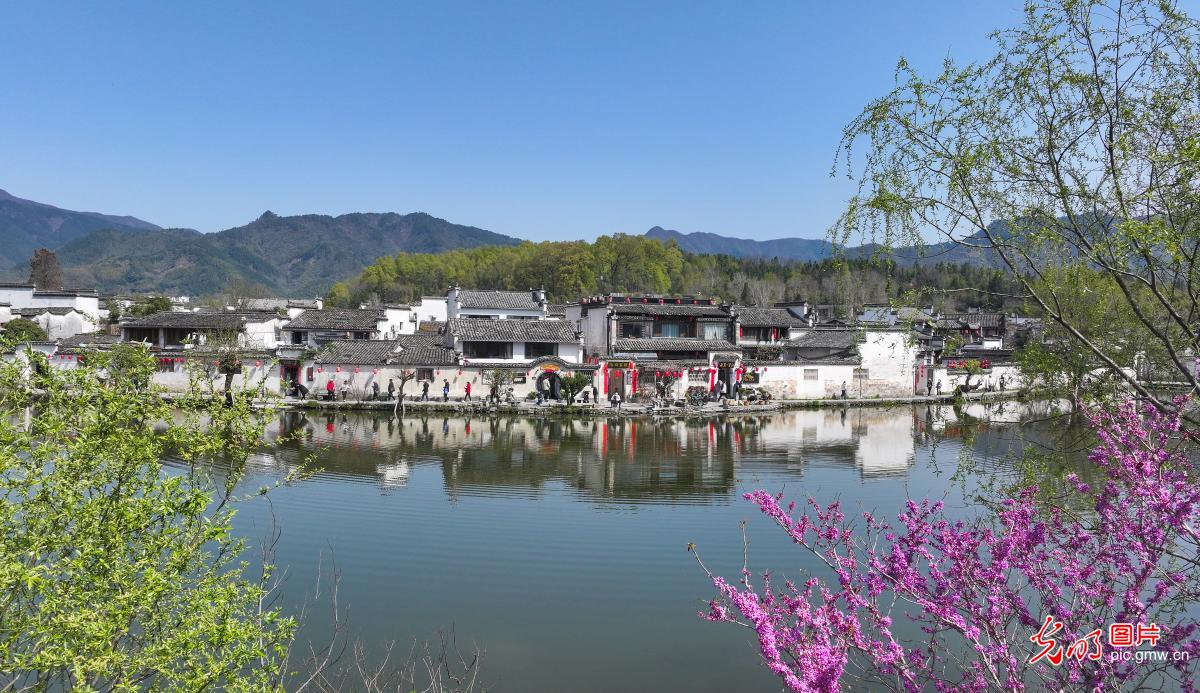春入宏村