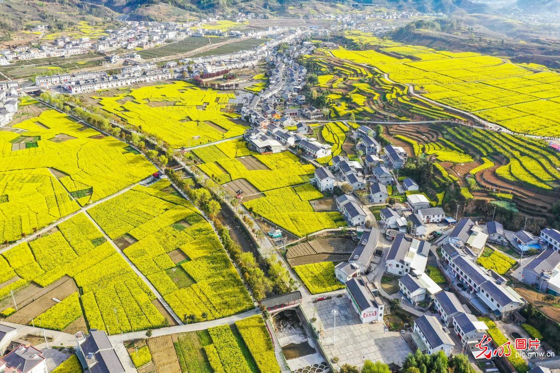 和美乡村 生态宜居