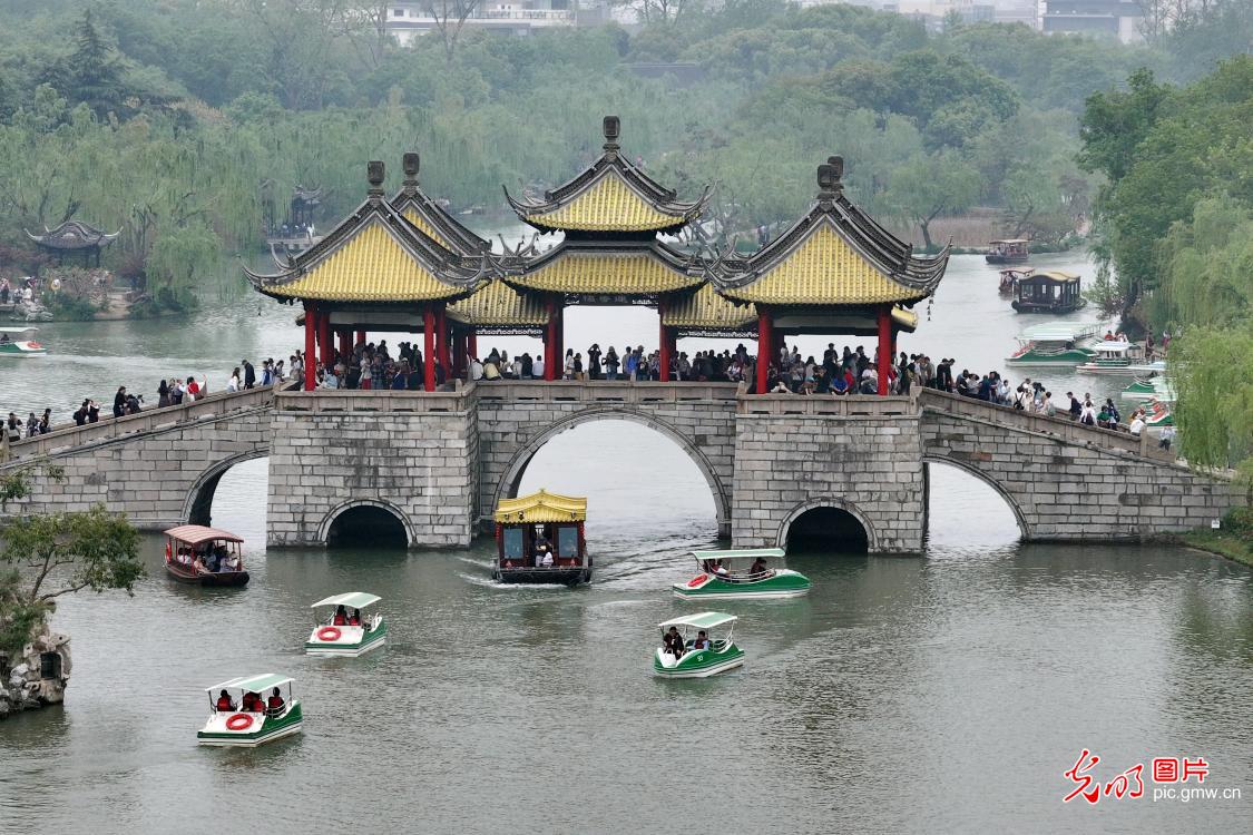 烟花瘦西湖 旅游人气旺