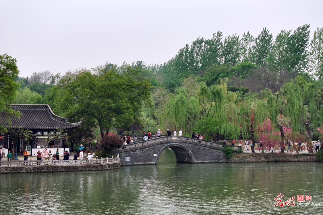 烟花瘦西湖 旅游人气旺