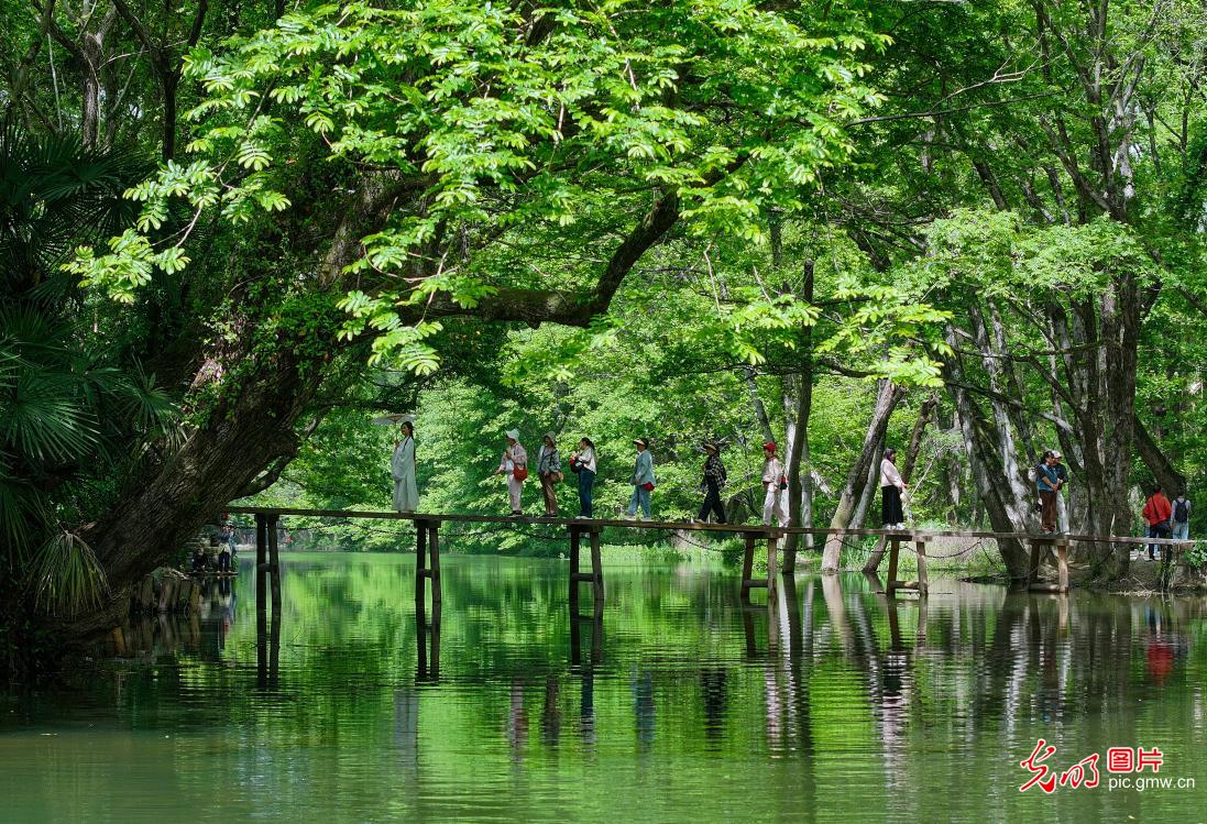 “绿野仙踪”醉游人