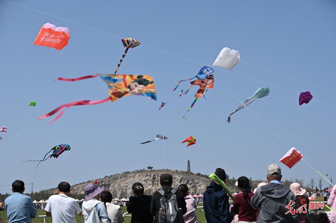 多彩风筝当空舞