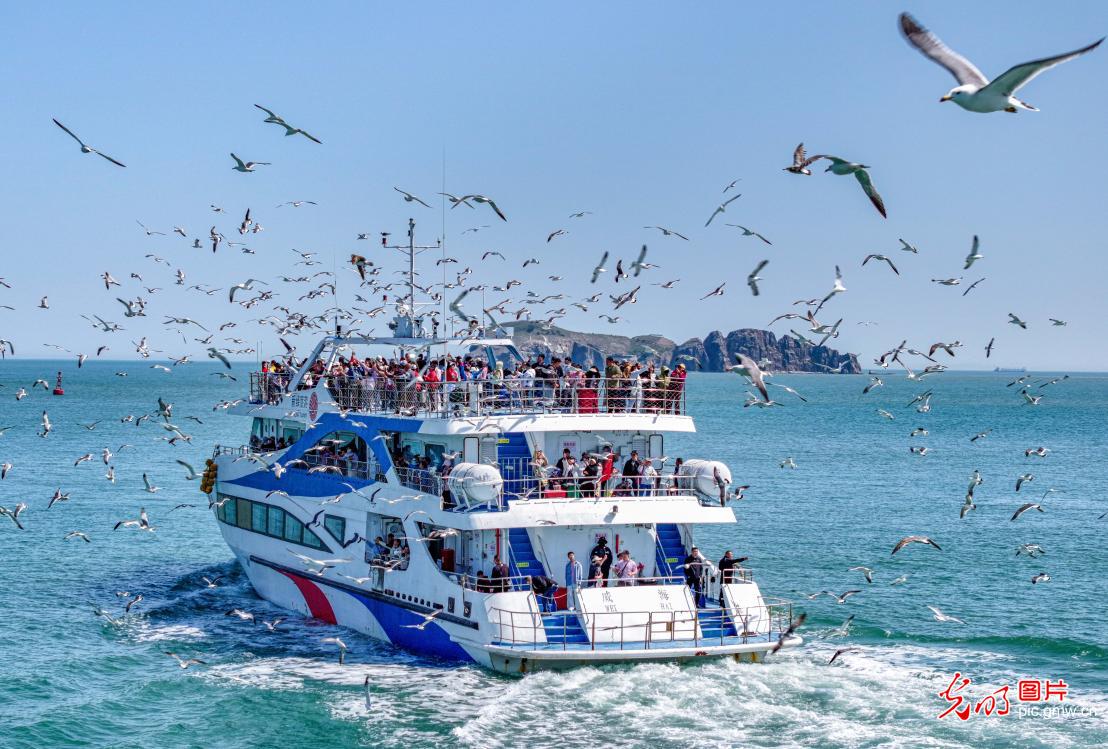 鹭鸟翩跹处 人鸟共生美 鹭鸟翩跹处 人鸟共生美