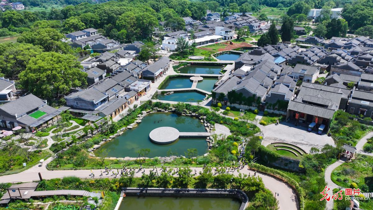 夏日古村美