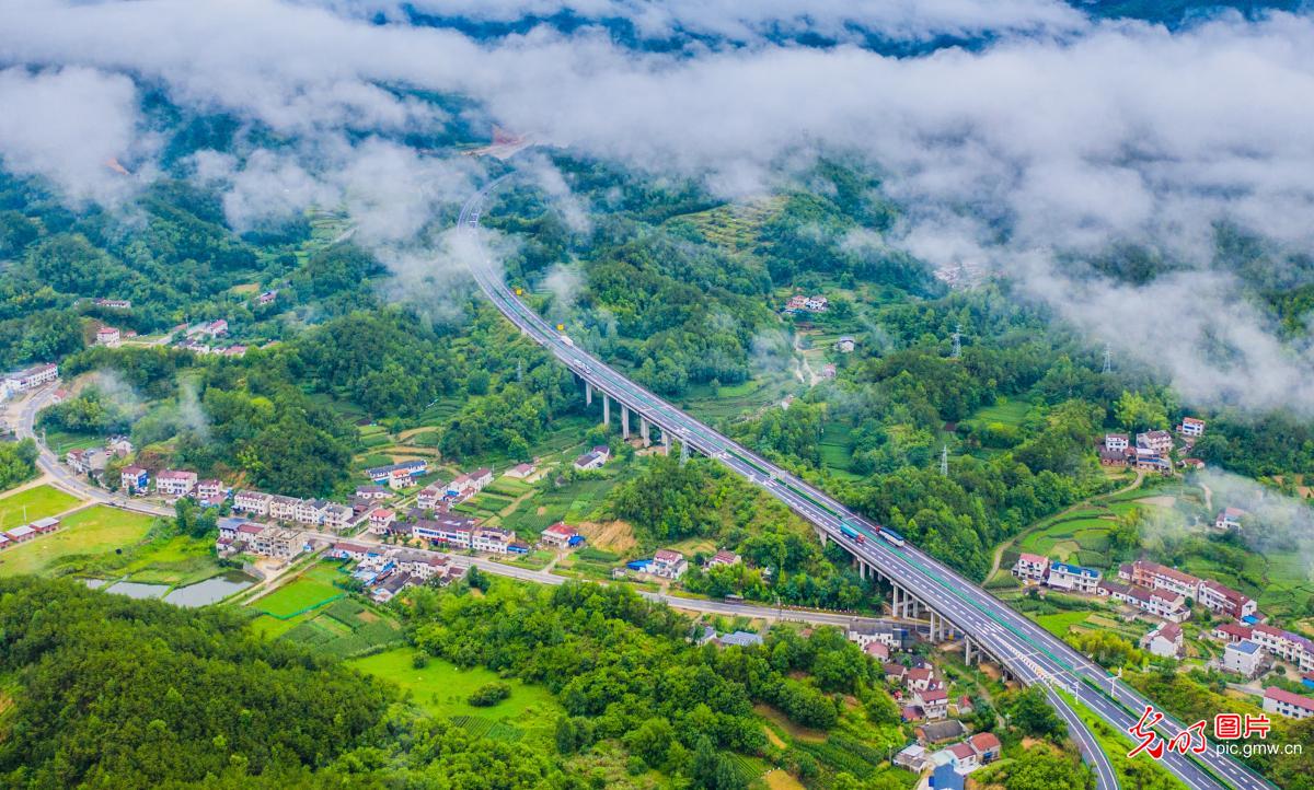 云海高速美如画