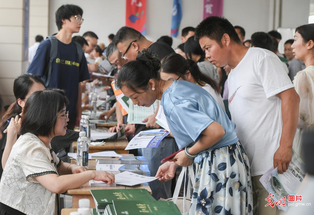 高校高招咨询密集展开 护航考生志愿路