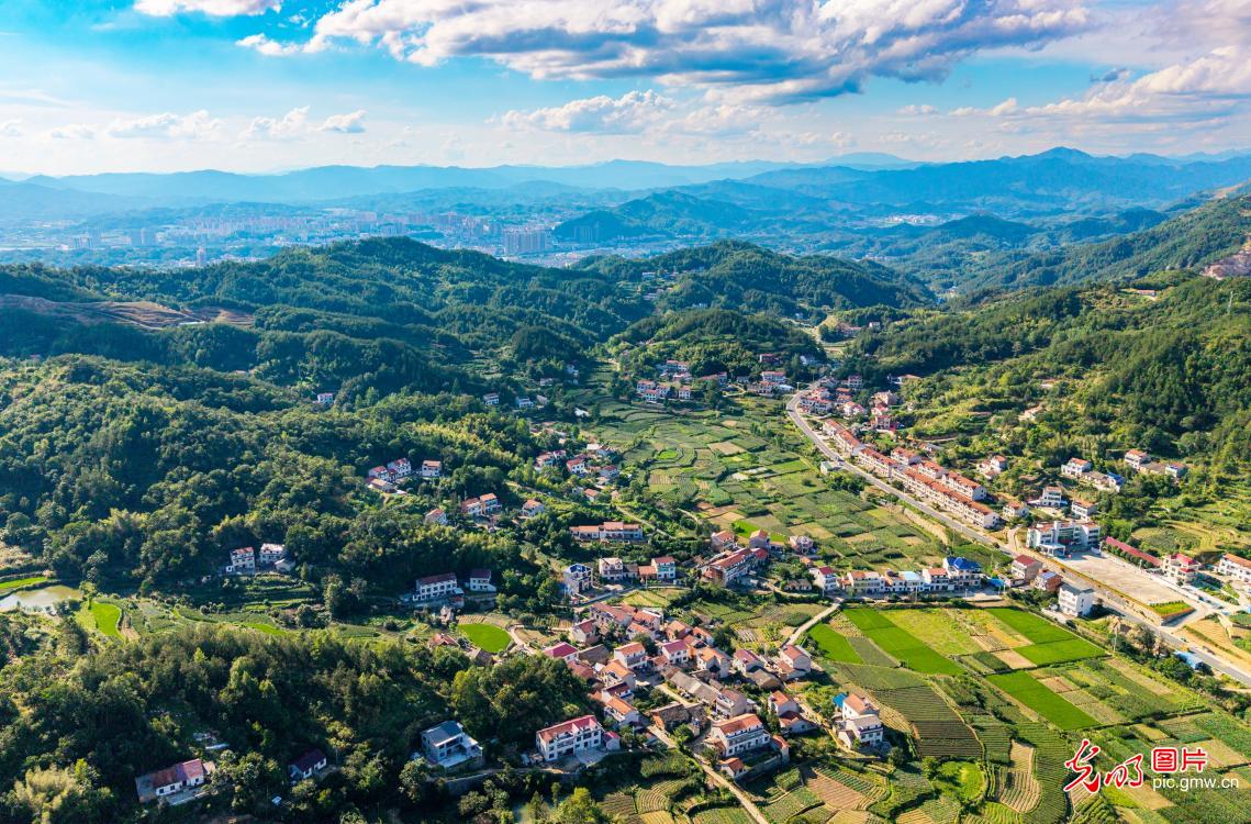 夏日山乡风光美