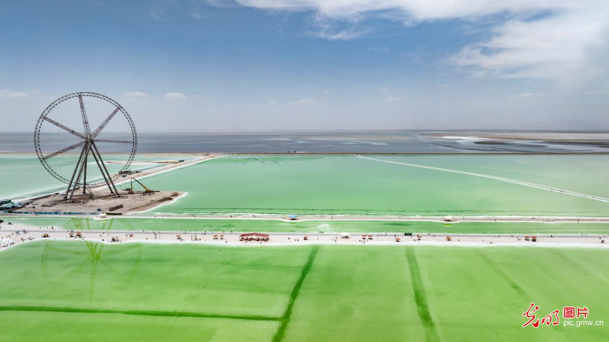 察尔汗盐湖盛夏引客来