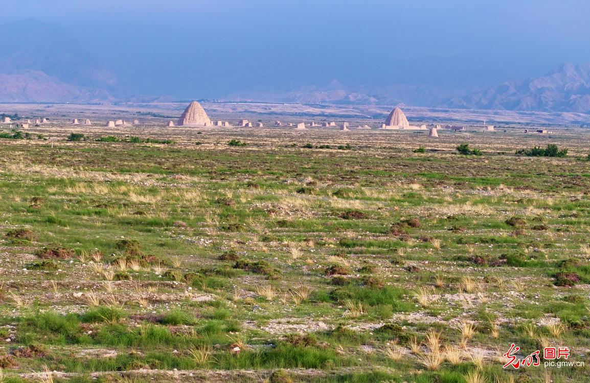 “西夏陵”成功列入《世界遗产名录》