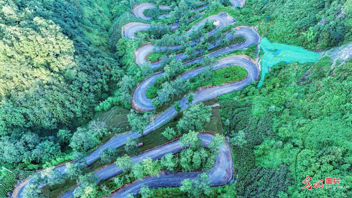 “二十四道拐”公路蜿蜒曲折