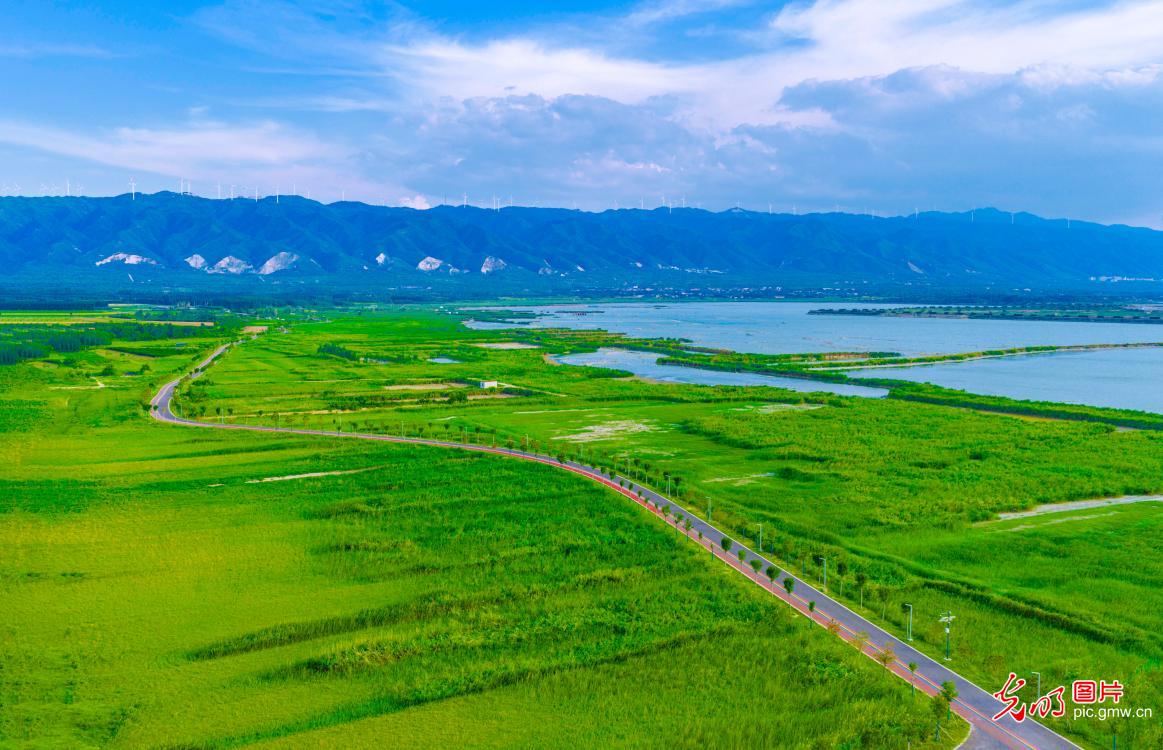 鸭子池湿地生态景色宜人